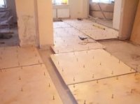 ������ ����