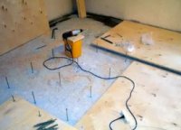 ������ ����