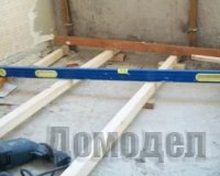 ������ ����