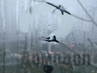 ������ ����������� ����