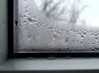 ������ ����������� ����