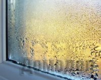 ������ ����������� ����