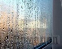 ������ ����������� ����