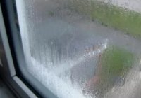 ������ ����������� ���� ������ �����