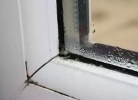 ������ ����������� ���� ������ �����