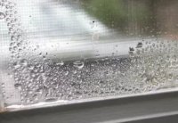 ������ ����������� ���� ������ �����