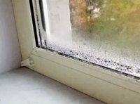 ������ ����������� ���� ������ �����