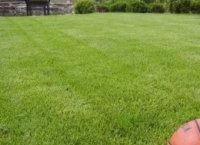 ������������� ������� ��� ���������� ��������