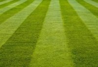 ������������� ������� ��� ���������� ��������