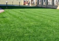 ������������� ������� ��� ���������� ��������