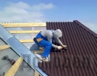 ������ ����� �������� ����