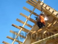 ������ ����� �������� ����