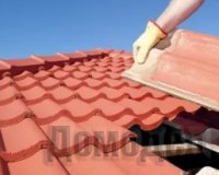 ������ ����� �������� ����