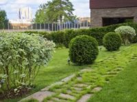 ����������� ������� �������