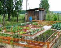 ����������� ������� �������