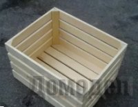 ������������ ���� �� ������