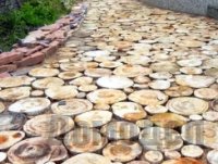 ������� ������� �� ��������� ������