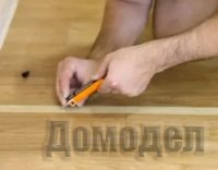 ������� ��������� ��������