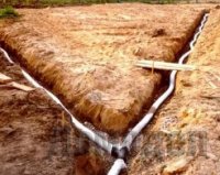 ������ ������ ������� �� ������ ����