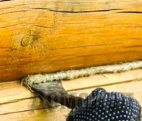 ����� � ��� �������� ���������� ����