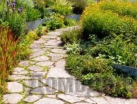 ������� �� ������� �������