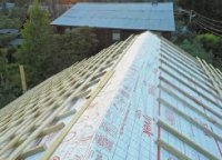 ������������� ����� ����