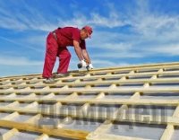 ������������� ����� ����