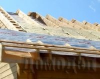 ������������� ����� ����