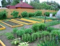 Что такое "умные грядки" и как их сделать своими руками