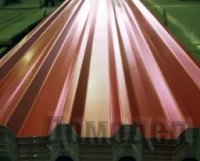 ������������ ���������