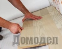 ������������ ��������