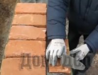 ��� ������ ������