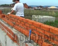 ��� ������ ������