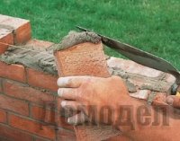 ��� ������ ������