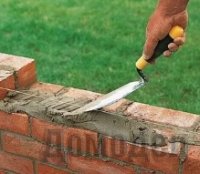 ��� ������ ������