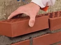 ��� ������ ������