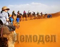 Тур по Марокко. Предложение для туристов
