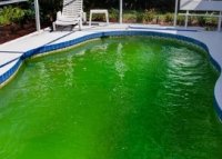 ��������� � ��������: ��� � ���� ��������?