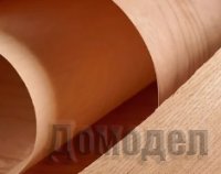 ��� ����� ����������� ����