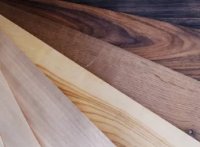 ��� ����� ����������� ����