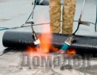 ������ ������ ������