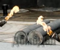 ������ ������ ������