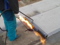 ������ ������ ������