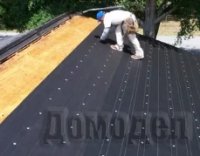 ������ ������ ������