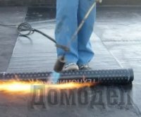 ������ ������ ������