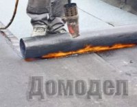 ������ ������ ������