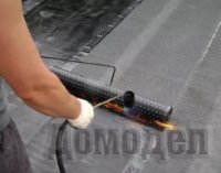 ������ ������ ������