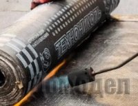 ������ ������ ������