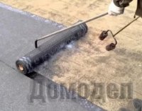 ������ ������ ������