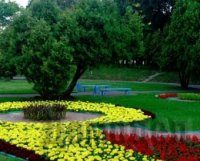 ���������� ��������� ����������